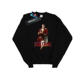 DC COMICS  Sweatshirt 