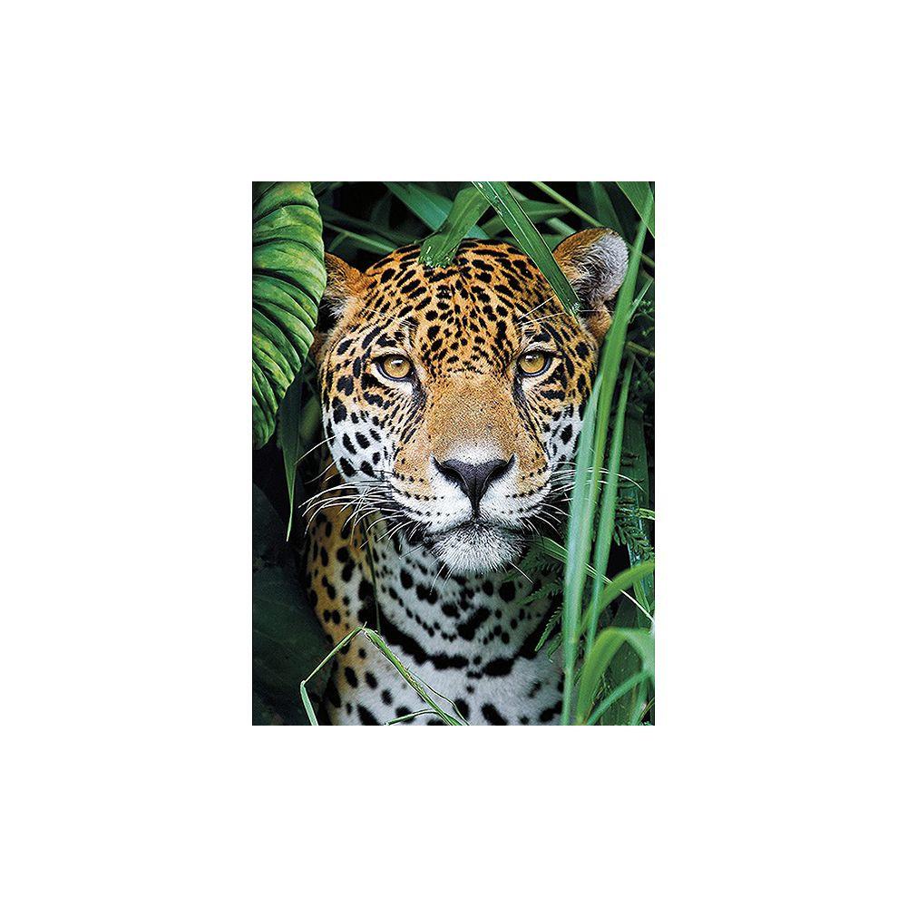 Clementoni  Puzzle Jaguar in the Jungle (500Teile) 