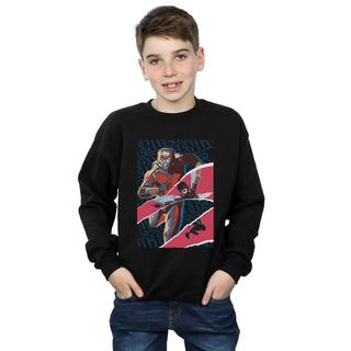 MARVEL  Avengers And Sweatshirt 