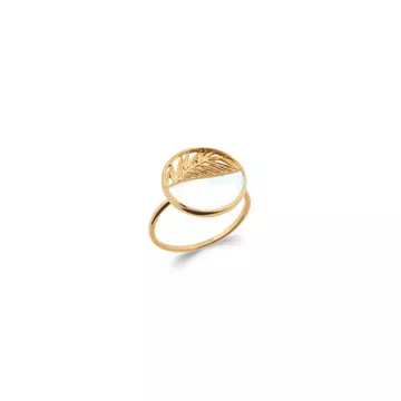 Ringe CLEIA