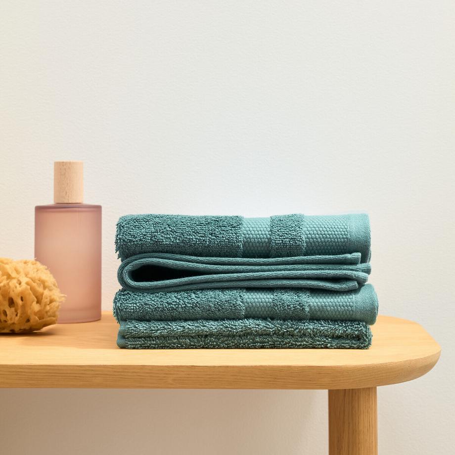 La Redoute Intérieurs Set mit 4 Gästehandtüchern aus ägyptischer Baumwolle 600g/m2  