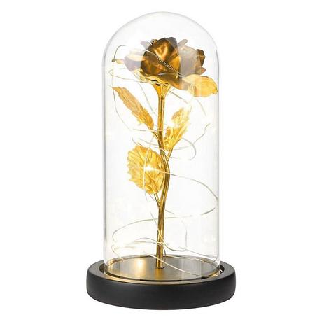 eStore Rose l'infini avec guirlandes lumineuses  