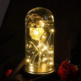 eStore Rose l'infini avec guirlandes lumineuses  