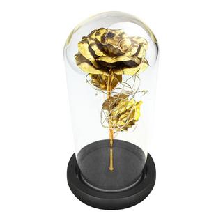 eStore Rose l'infini avec guirlandes lumineuses  