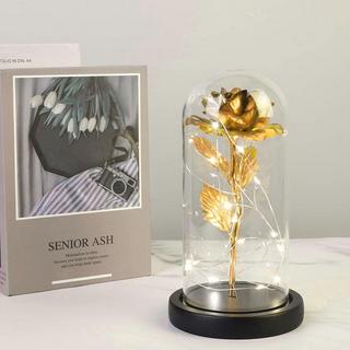 eStore Unsterblichen Rosen mit Lichterketten  