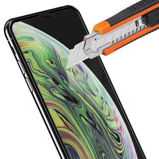 Avizar  Glass Full Cover iPhone XS Max Schwarz 