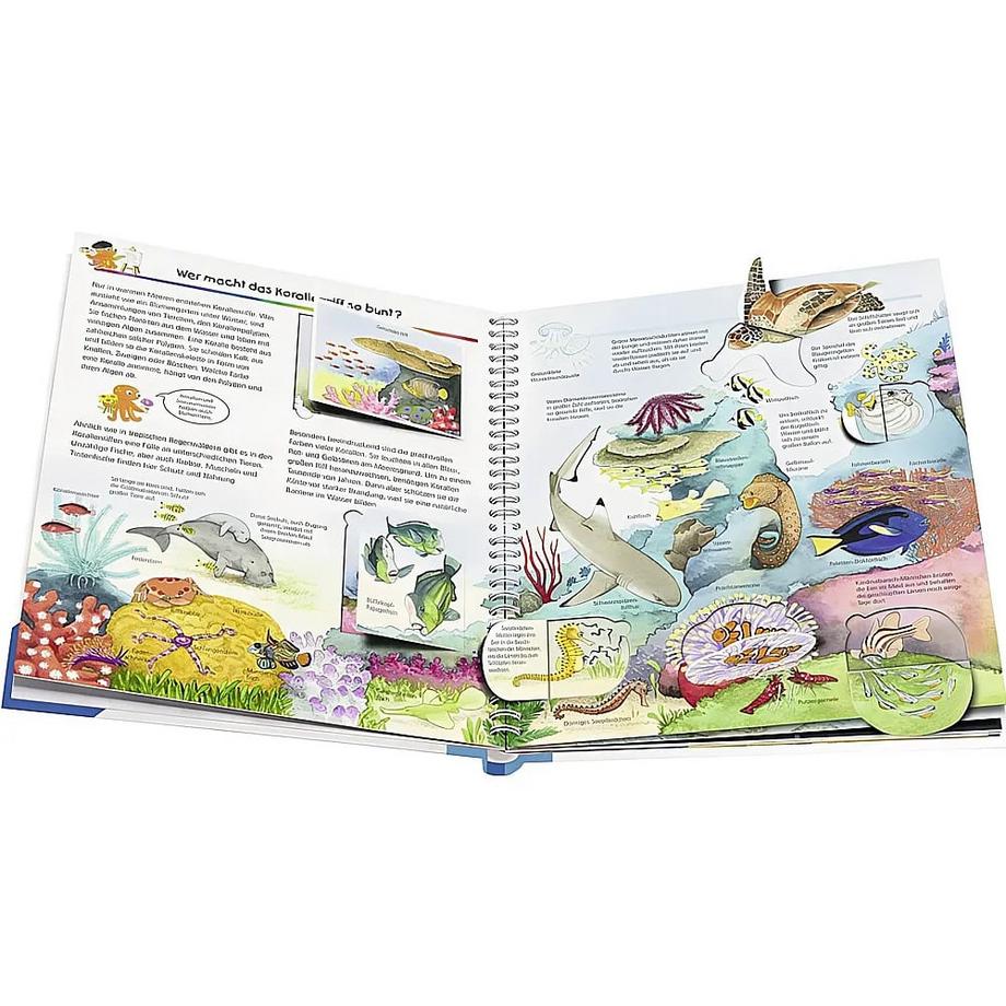 Wieso? Weshalb? Warum?, Band 27: Wir entdecken Meerestiere Erne, Andrea; Ebert, Anne (Illustrationen) Gebundene Ausgabe 