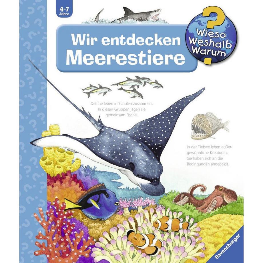 Wieso? Weshalb? Warum? Wir entdecken Meerestiere (Nr.27) Erne, Andrea; Ebert, Anne (Illustrationen) Copertina rigida 