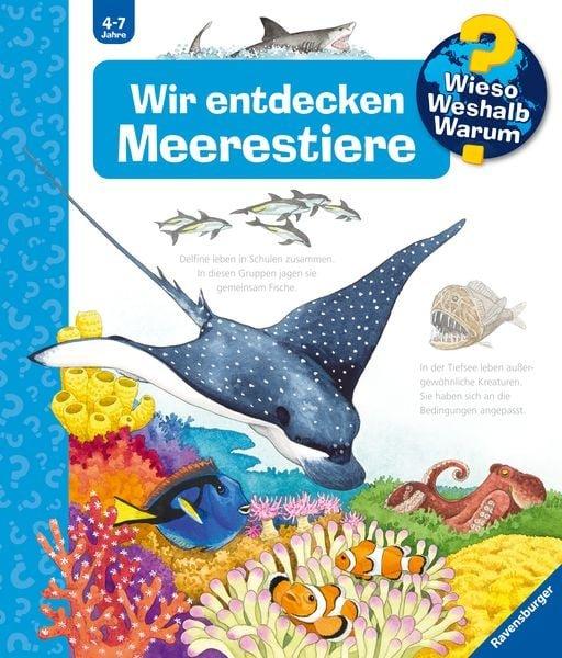 Wieso? Weshalb? Warum?, Band 27: Wir entdecken Meerestiere Erne, Andrea; Ebert, Anne (Illustrationen) Gebundene Ausgabe 