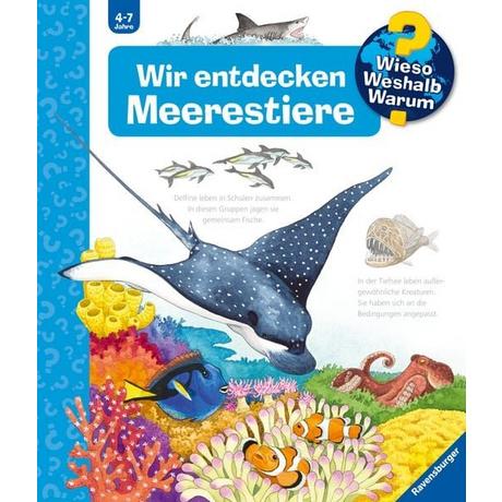 Wieso? Weshalb? Warum?, Band 27: Wir entdecken Meerestiere Erne, Andrea; Ebert, Anne (Illustrationen) Gebundene Ausgabe 