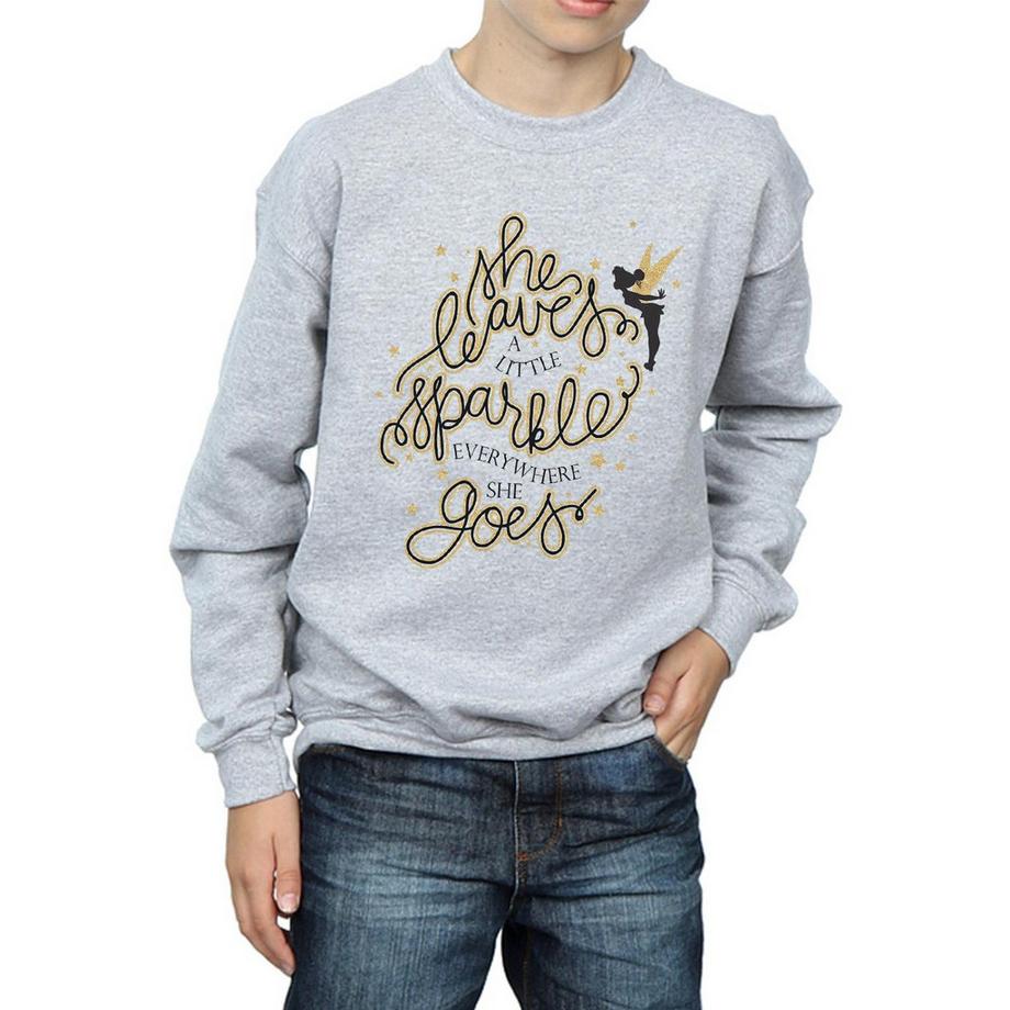 Disney  Sweatshirt 