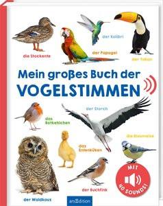 Mein großes Buch der Vogelstimmen Kein Autor Gebundene Ausgabe 