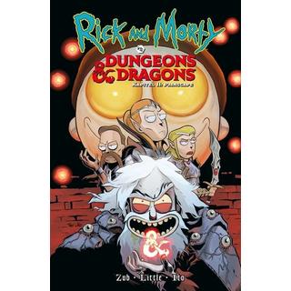 Rick and Morty vs. Dungeons & Dragons Jim Zub,Troy Littel Pappbuch 