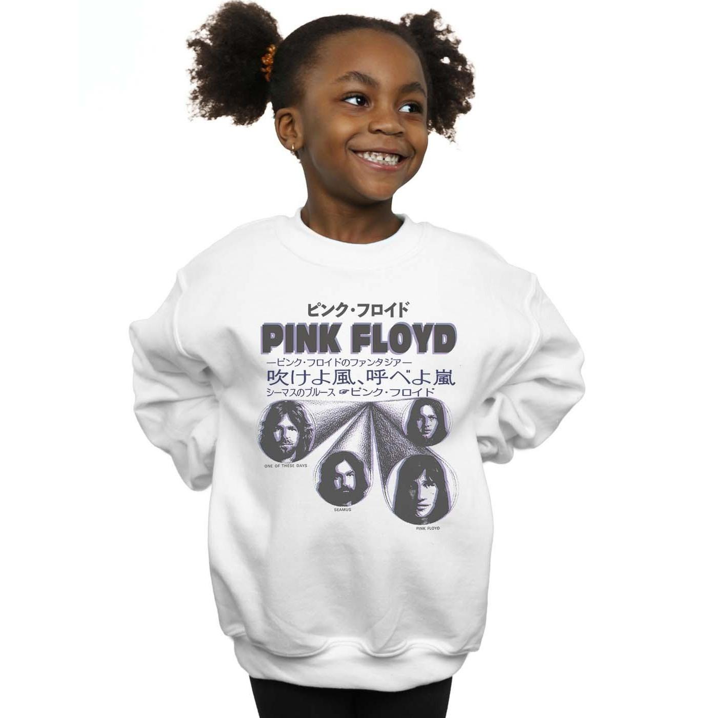 Pink Floyd  Sweatshirt 