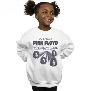 Pink Floyd  Sweatshirt 