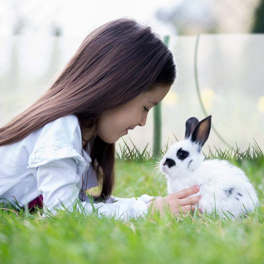 B2X Pflanztunnel 3,5 m mit Pop-Up-Funktion  