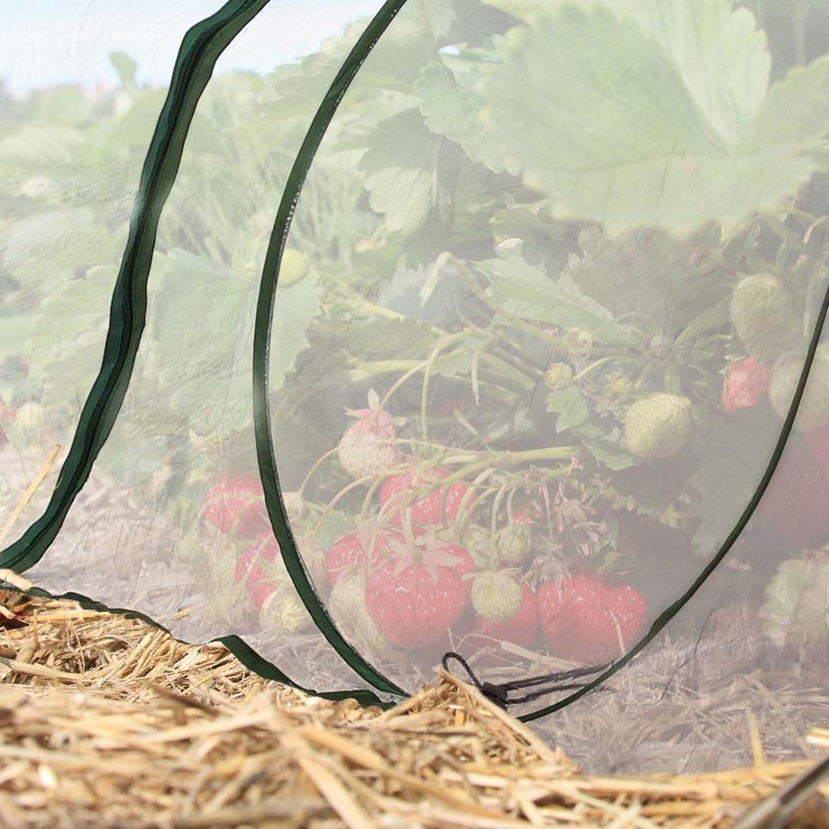 B2X Pflanztunnel 3,5 m mit Pop-Up-Funktion  