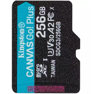 Kingston Technology Canvas Go! Plus 256 GB MicroSD UHS-I Classe 10