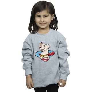 DC COMICS  DC League Of SuperPets Krypto Icon Sweatshirt 