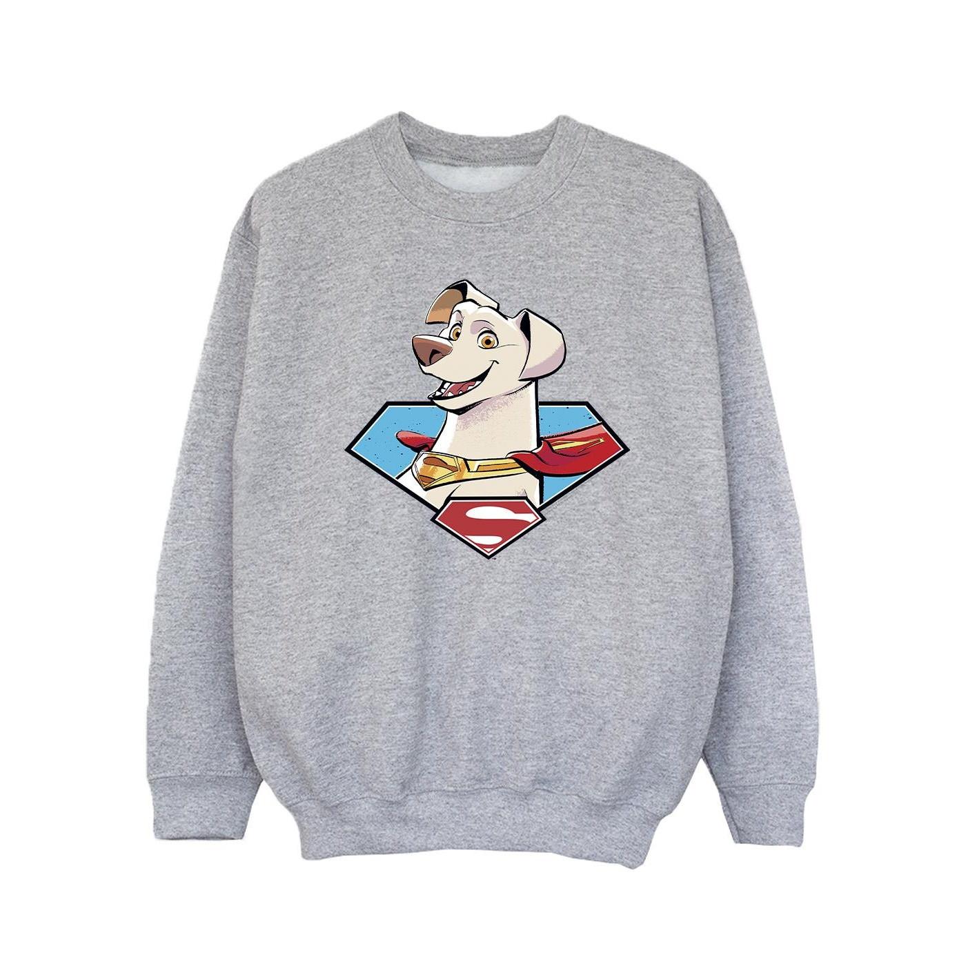 DC COMICS  DC League Of SuperPets Krypto Icon Sweatshirt 