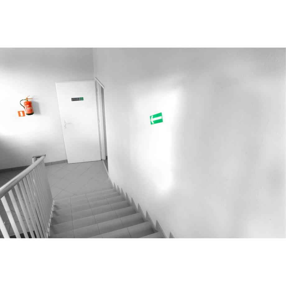 Exacompta Selbstklebendes Türschild Notausgang FR  