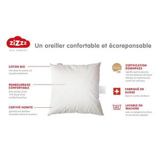 Zizzz Oreiller Premium Duvet d'Oie Bio Nomite Downpass  