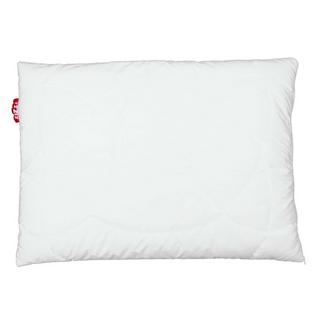 Zizzz Oreiller Premium Duvet d'Oie Bio Nomite Downpass  