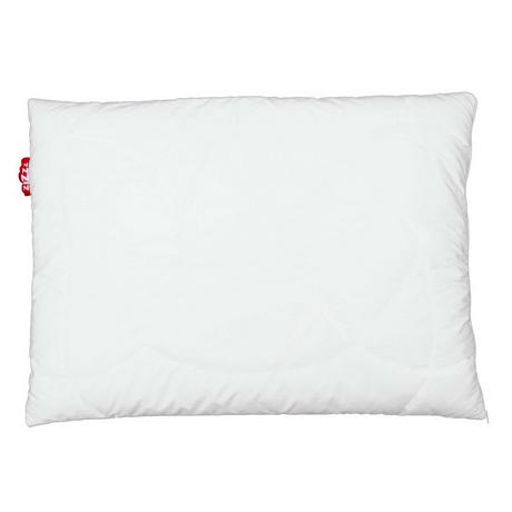 Zizzz Oreiller Premium Duvet d'Oie Bio Nomite Downpass  