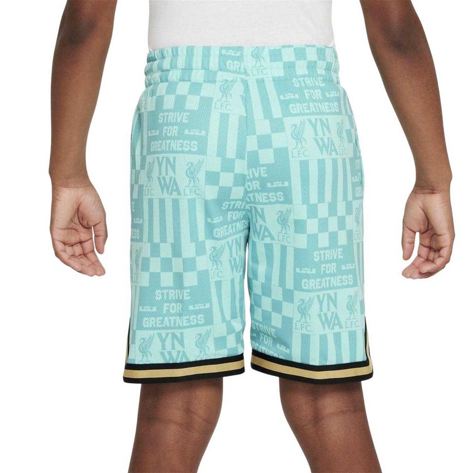 NIKE  Lebron Basketballshorts 
