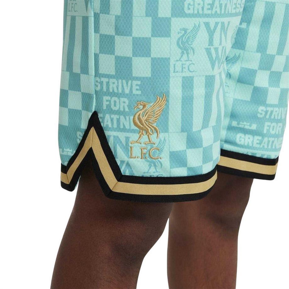 NIKE  Lebron Basketballshorts 