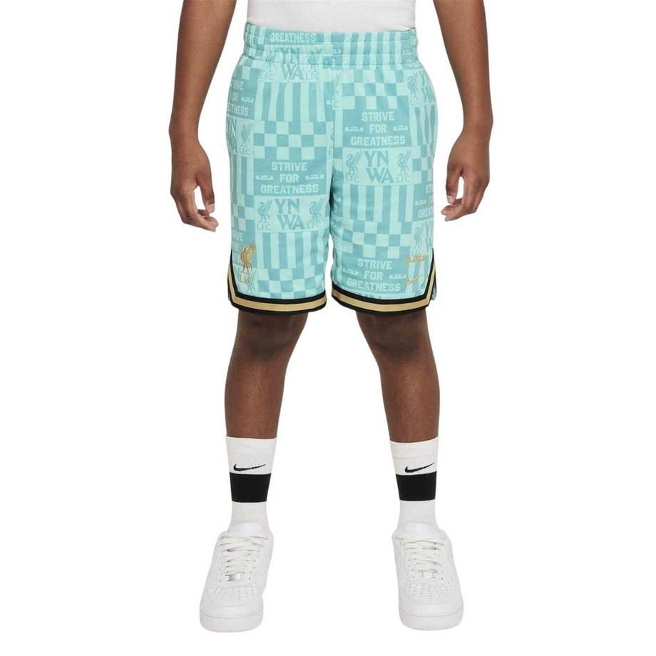 NIKE  Lebron Basketballshorts 
