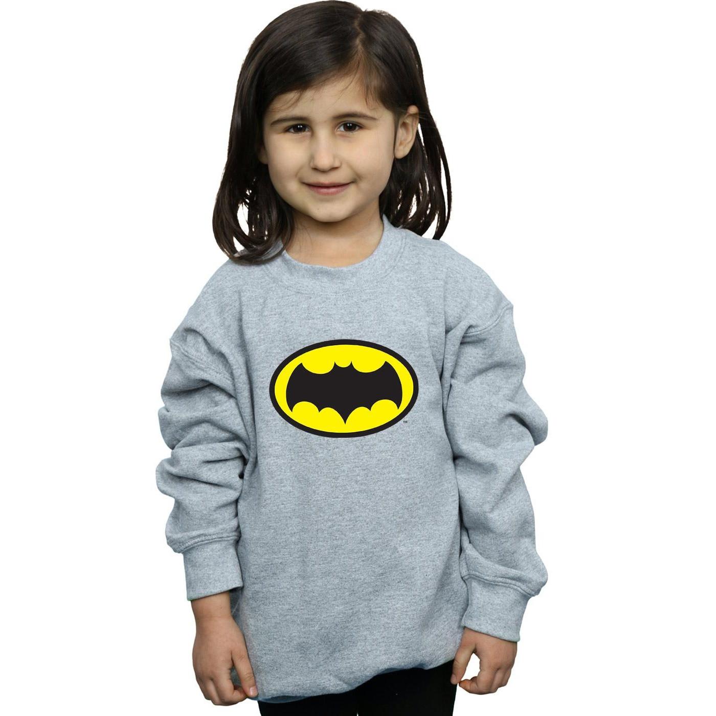 DC COMICS  Sweatshirt 