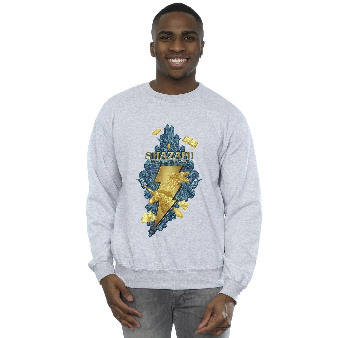 DC COMICS  Fury Of The Gods Sweatshirt 