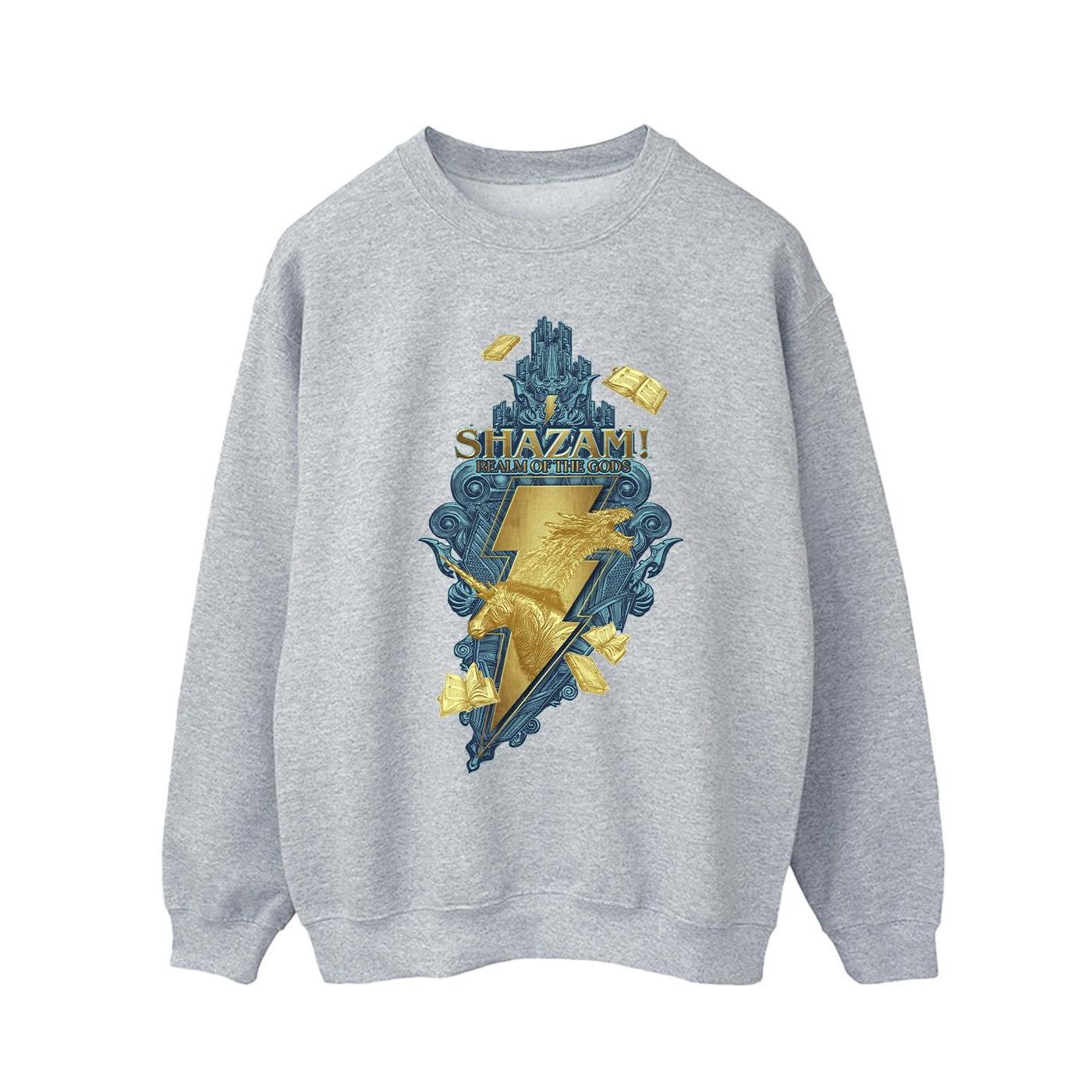 DC COMICS  Fury Of The Gods Sweatshirt 