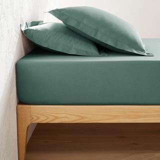 La Redoute Intérieurs Scenario Unifarbenes Fixleintuch aus Polybaumwolle  