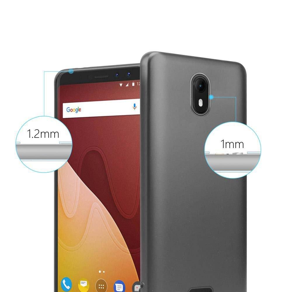 Cadorabo  Hülle für WIKO VIEW GO TPU Silikon Matt 