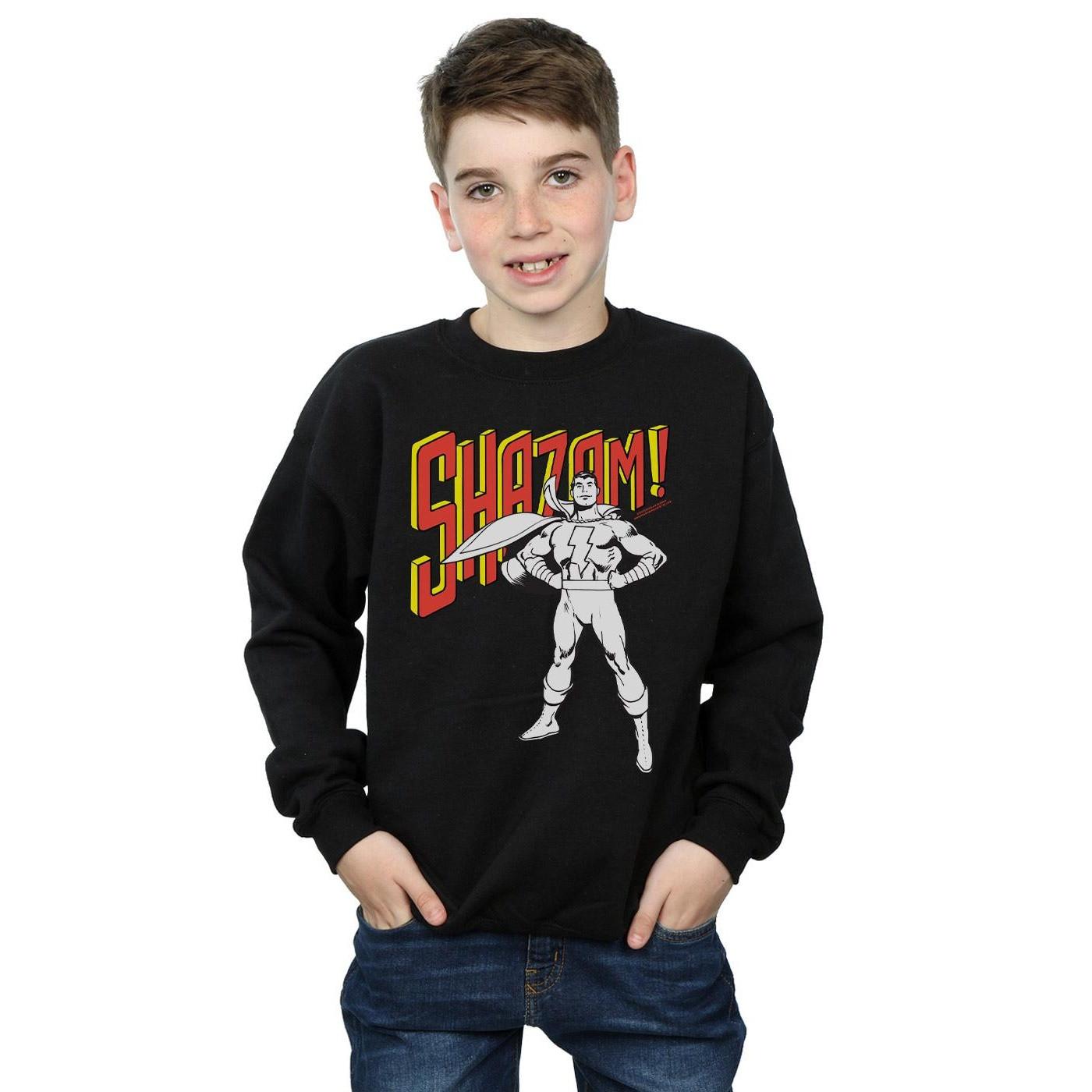 DC COMICS  Sweatshirt 