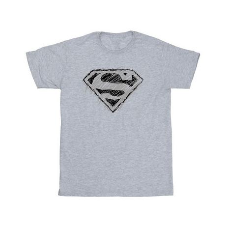 DC COMICS  Tshirt SUPERMAN LOGO SKETCH 