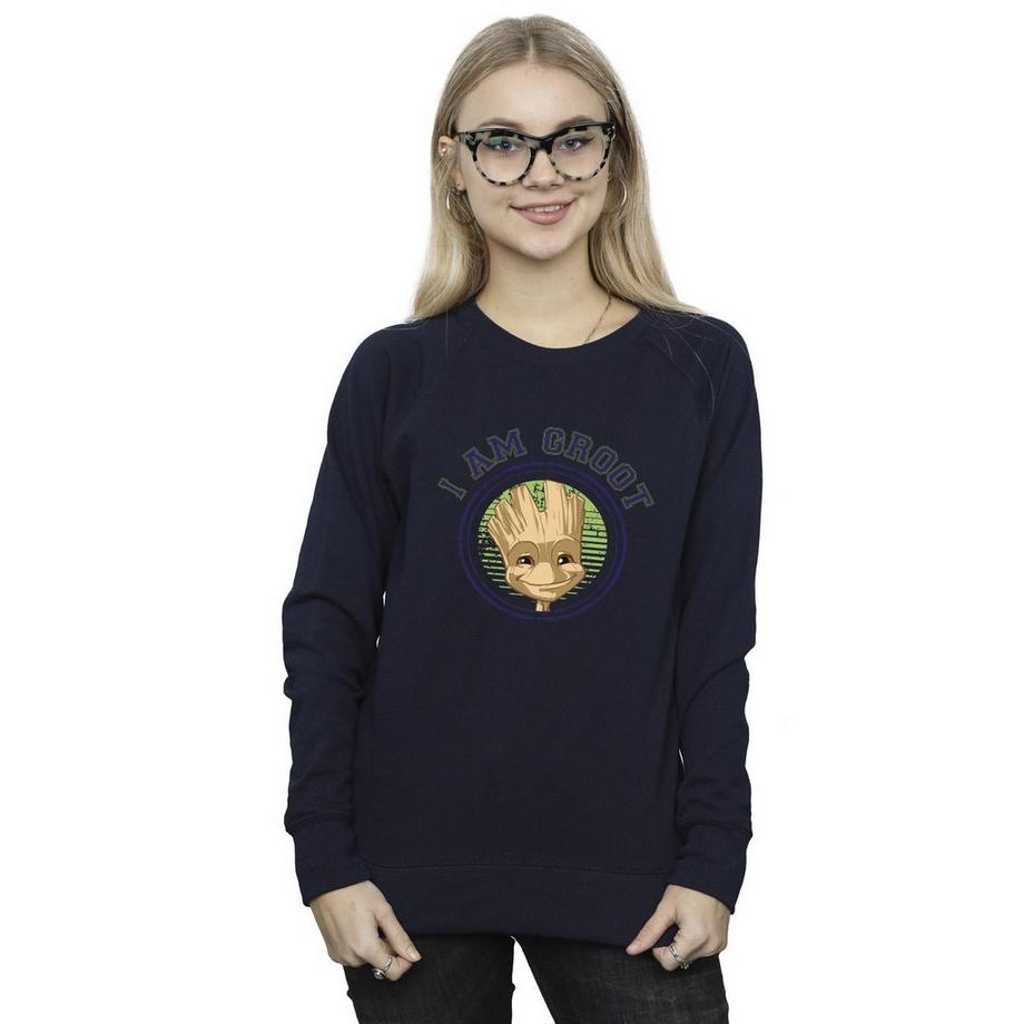 Guardians Of The Galaxy Groot I Am Groot Sweatshirt  