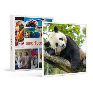 Smartbox  2-tägige Entdeckungsreise im ZooParc de Beauval für 2 Erwachsene - Geschenkbox 