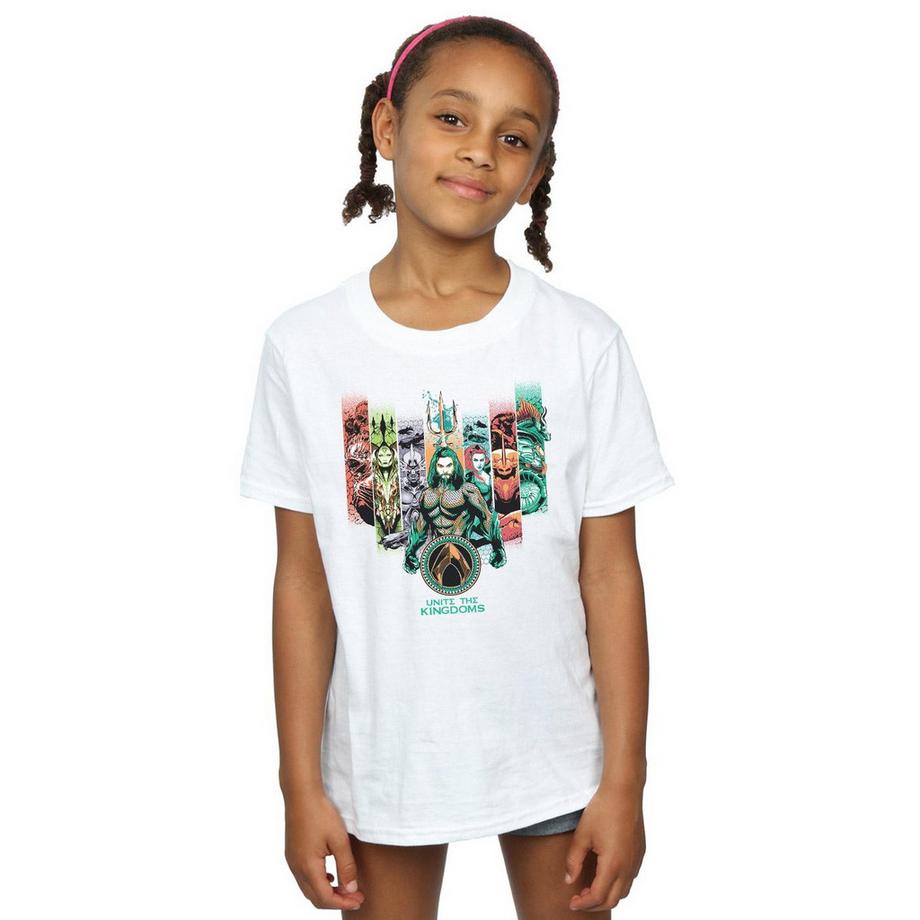 DC COMICS  Unite The Kingdoms TShirt 