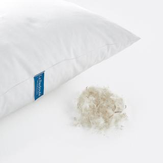 La Redoute Intérieurs Oreiller Moelleux 15% Duvet  
