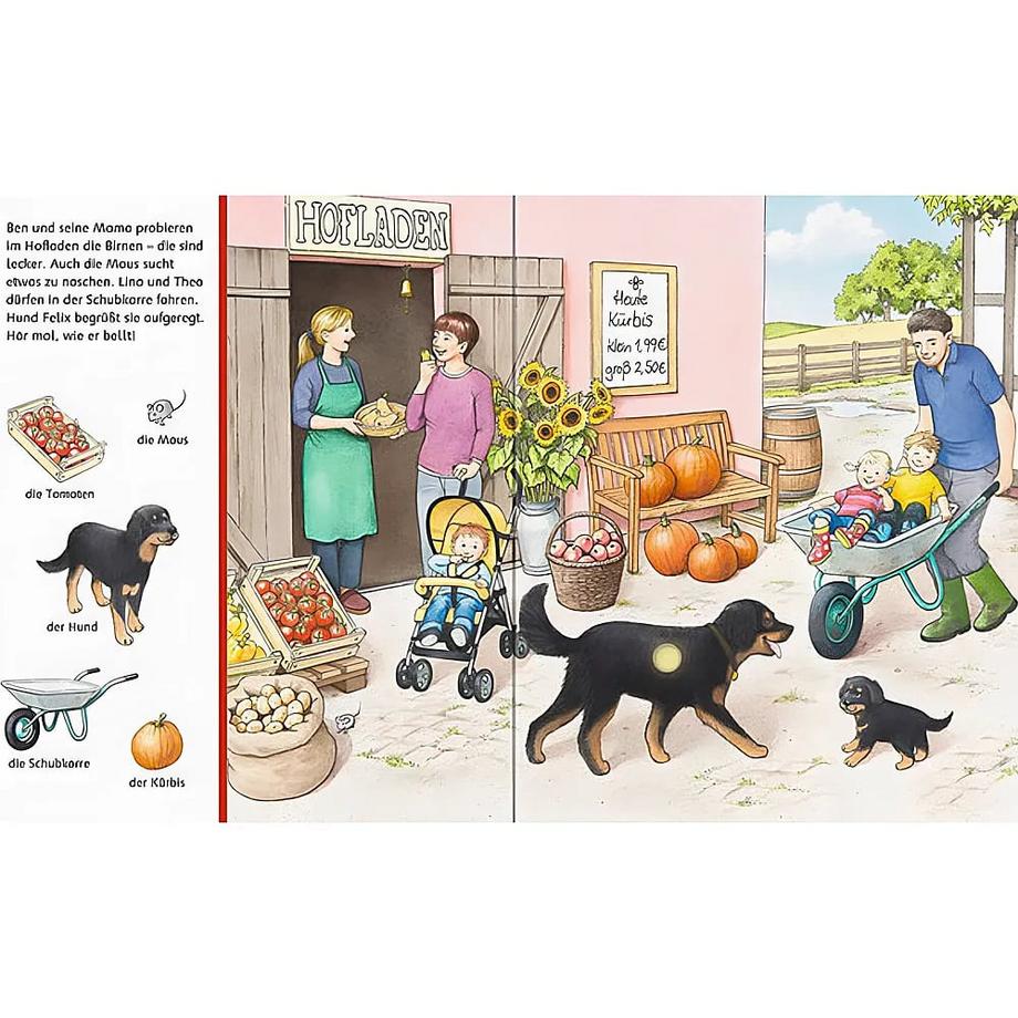 Sachen suchen, Sachen hören: Auf dem Bauernhof Nahrgang, Frauke; Schargan, Constanze (Illustrationen) Gebundene Ausgabe 