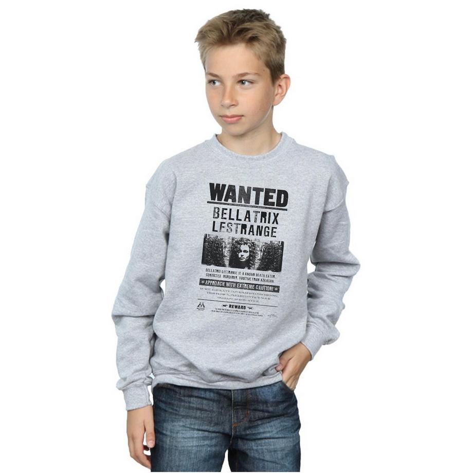 HARRY-POTTER  Sweat WANTED 