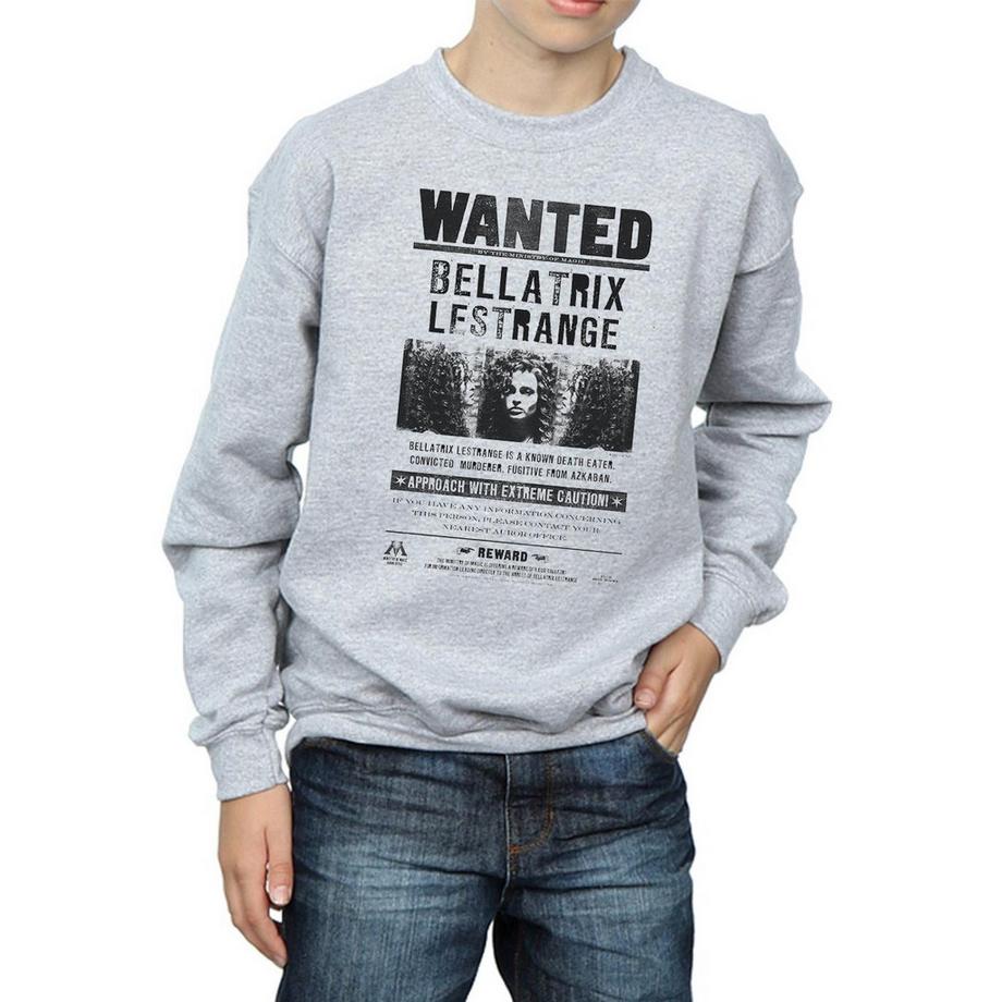 HARRY-POTTER  Sweat WANTED 