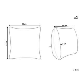 Beliani Dekokissen 2er Set aus Polyester Modern EINADIA  
