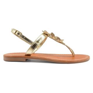 Les Tropeziennes  OFEA 