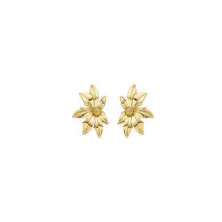 Luxenter  Boucle d'Oreilles Aucell 