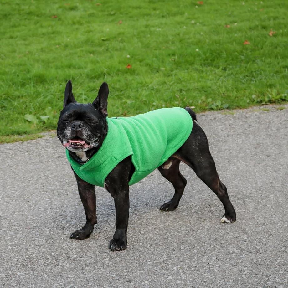 Alopini  Gilet Polaire avec Anneau de Laisse-Chiot Doux, Léger et Respirant, Petit Chien Moyen 