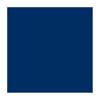 Talens TALENS Plakatfarbe 500ml 0972-5080 blau  